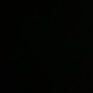 Meet your Posher, Paige